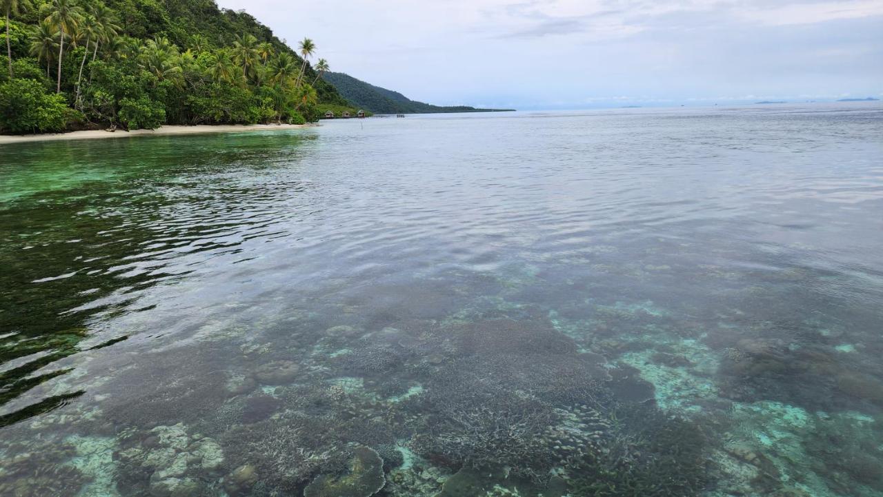 Terimakasih Homestay Pulau Mansuar Екстер'єр фото